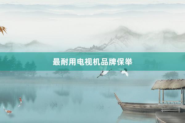 最耐用电视机品牌保举
